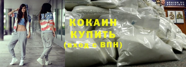 мет Протвино