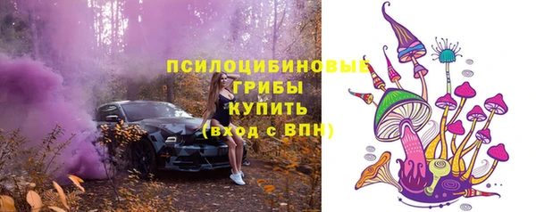 мет Протвино