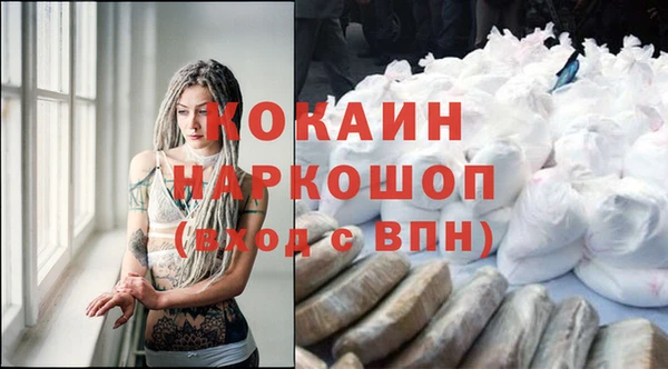 мет Протвино