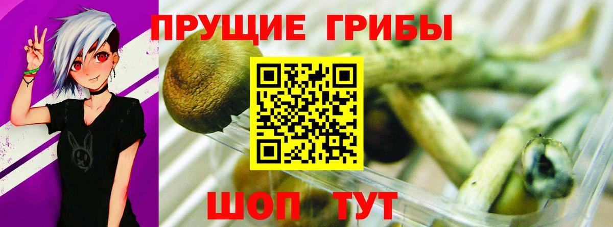 Галлюциногенные грибы Cubensis Советск